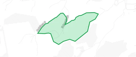 Gassi-Ort Alte Schlewecke in Bad Harzburg