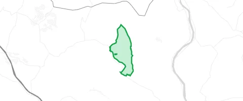 Gassi-Ort Ameisenberg in Lohrhaupten