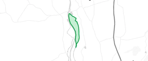 Gassi-Ort Auwald in Auwald