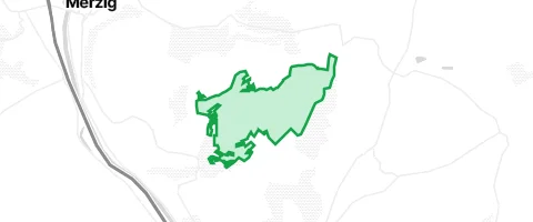 Gassi-Ort Bietzener Wald in Merzig