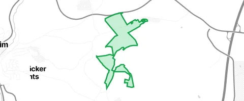 Gassi-Ort Birkenwald in Kailbach
