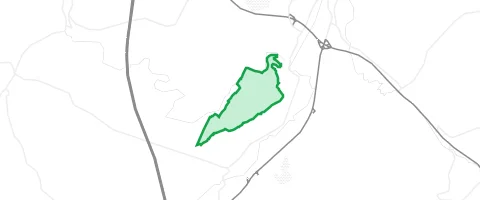 Gassi-Ort Buchwald in Lauffen