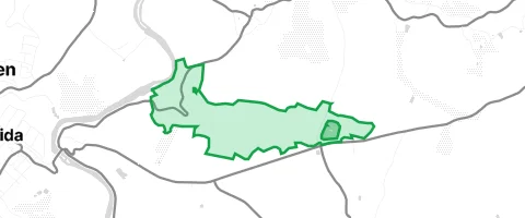 Gassi-Ort Bürgerwald in Rossau