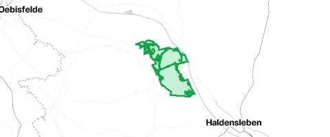 Gassi-Ort Calvörder Forst in Calvörde