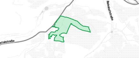 Gassi-Ort Forst Bärenstein in Altenberg