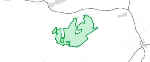 Gassi-Ort Forst Brachlehden in Otterwisch