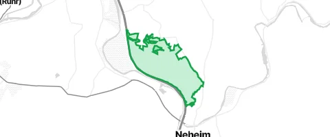 Gassi-Ort Forst Herdringen in Lüttringen