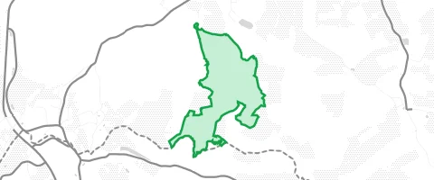 Gassi-Ort Forst Kohlhaukuppe in Geising