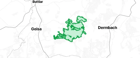 Gassi-Ort Geisaer Stadtwald in Geisa