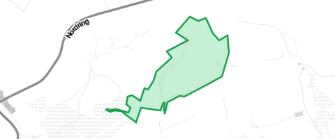 Gassi-Ort Greinhofer Wald in Lebach