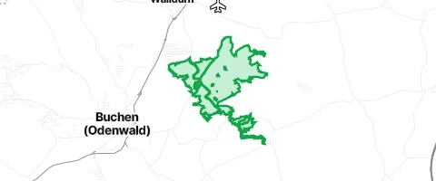 Gassi-Ort Großer Wald in Kailbach