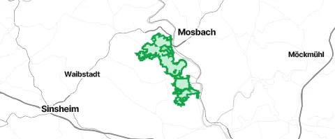 Gassi-Ort Großer Wald in Hochhausen