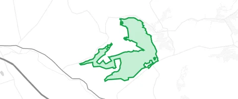 Gassi-Ort Großer Wald in Kaltenholzhausen