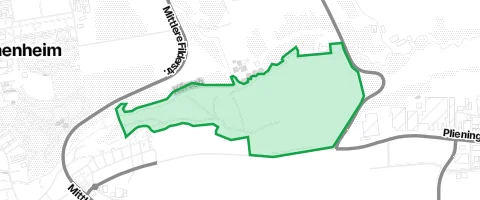 Gassi-Ort Häslachwald in Kemnat