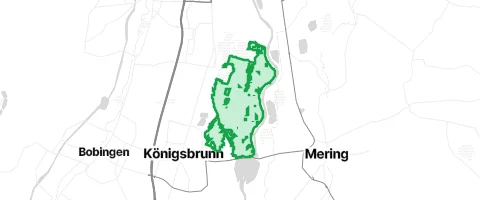 Gassi-Ort Haunstetter Wald in Augsburg