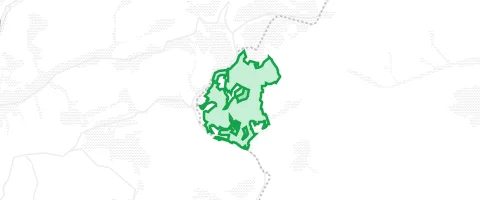 Gassi-Ort Heiligeholz in Bad Berleburg