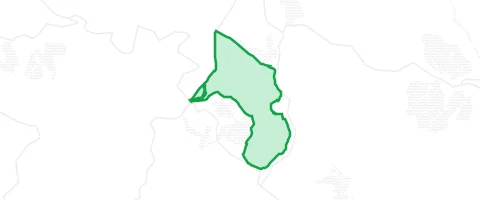 Gassi-Ort Heinrichsthaler Forst in Heinrichsthaler Forst