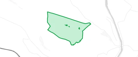 Gassi-Ort Höchster in Lohrhaupten