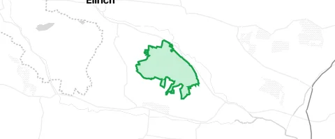 Gassi-Ort Kammerforst in Ellrich