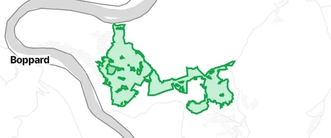 Gassi-Ort Kamper Wald in Kamp-Bornhofen