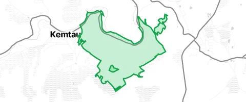 Gassi-Ort Kemtauer Wald in Dittersdorf