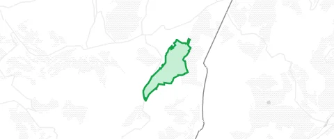 Gassi-Ort Kirchenwald in Ormesheim