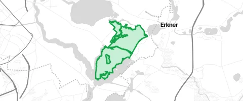 Gassi-Ort Köpenicker Werder in Berlin