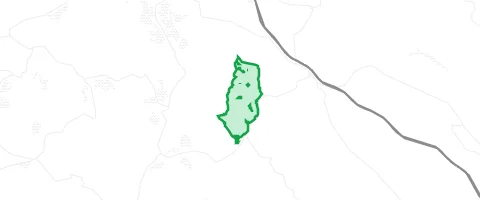 Gassi-Ort Krausenbacher Forst in Dammbach
