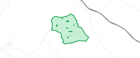 Gassi-Ort Krausenbacher Forst in Dammbach