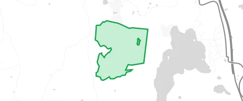 Gassi-Ort Lärchenwald in Bissee