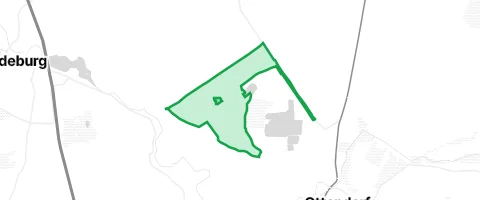 Gassi-Ort Laußnitzer Heide in Laußnitz