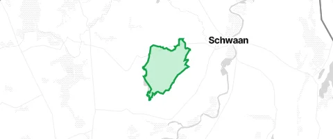 Gassi-Ort Letschower Tannen in Schwaan