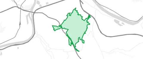 Gassi-Ort Longuicher Wald in Longuich