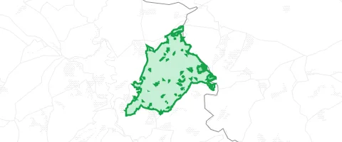 Gassi-Ort Lützelsoon in Kellenbach
