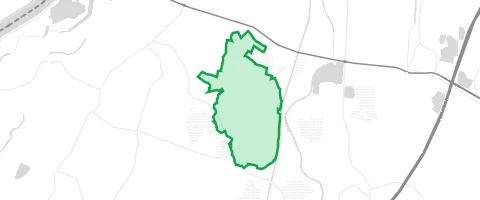 Gassi-Ort Mittelwald in Rheinbischofsheim