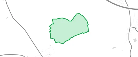 Gassi-Ort Mönchsholz in Gochsheim