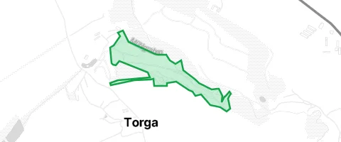 Gassi-Ort Mühlberg in Kodersdorf