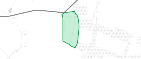 Gassi-Ort Mühlholz in Hainichen