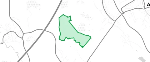 Gassi-Ort Önsbacher Wald in Achern