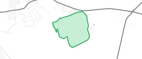 Gassi-Ort Ossenheimer Wäldchen in Ossenheim