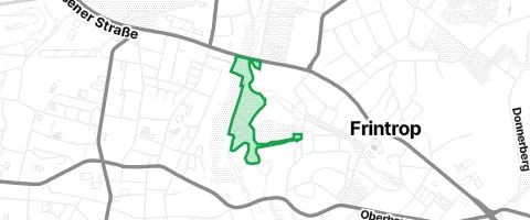 Gassi-Ort Park am Läppkesmühlenbach in Essen