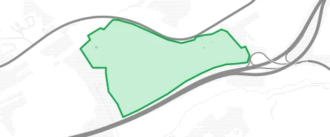 Gassi-Ort Plauelwald in Nünschweiler
