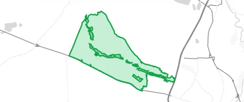 Gassi-Ort Pressather Wald in Parkstein