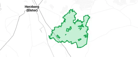 Gassi-Ort Redliner Heide in Doberlug-Kirchhain