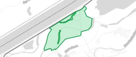 Gassi-Ort Rheinwald in Honau