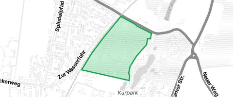 Gassi-Ort Rhododendrenwald in Lohne