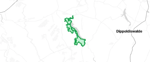 Gassi-Ort Röthenbacher Wald in Höckendorf