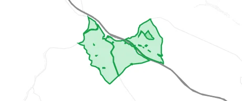 Gassi-Ort Rohrbrunner Forst in Weibersbrunn