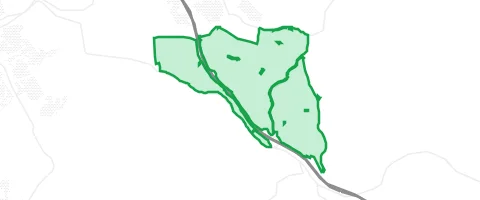 Gassi-Ort Rohrbrunner Forst in Rohrbrunner Forst