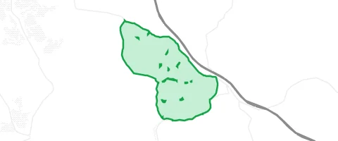 Gassi-Ort Rohrbunner Forst in Rohrbrunner Forst